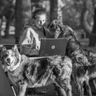 Afacere 1 imagine ABLAKELA WEB SOLUTIONS SRL Servicii profesionale în Cluj-Napoca CJ