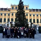 Afacere 12 imagine AGENTIA DE TURISM MONTANA TRAVEL Turism şi Agrement în Galaţi