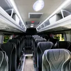 Afacere 3 imagine ANM SARA TOURS Transport în Timişoara TM