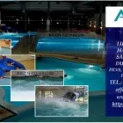 Afacere 1 imagine AQUALAND DEVA Turism şi Agrement în Deva HD