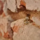 Afacere 10 imagine ATOMSTUDIO Servicii profesionale în Deva HD