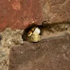 Afacere 22 imagine ATOMSTUDIO Servicii profesionale în Deva HD