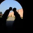 Afacere 25 imagine ATOMSTUDIO Servicii profesionale în Deva HD