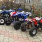 Afacere 4 imagine ATV QUADS Dealer de ATV-uri şi snowmobile în Timişoara TM