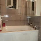 Afacere 7 imagine BEAUTY FOR BEASTS Servicii profesionale în Galati GL