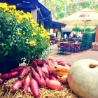 Afacere 2 imagine BECKER BRÄU Restaurant cu specific est-european în Bucharest B