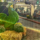 Afacere 6 imagine BECKER BRÄU Restaurant cu specific est-european în Bucharest B