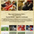 Afacere 1 imagine BIG LAND COMPANY Mâncare şi Băuturi în Constanţa