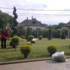 Afacere 1 imagine BUSINESS MB EXIM SRL Servicii profesionale în Apahida CJ