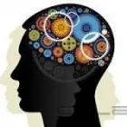 Afacere 5 imagine CABINET INDIVIDUAL DE PSIHOLOGIA MUNCII SI ORGANIZATIONALA SACMAREAN MIHAIELA MIRELA în Arad