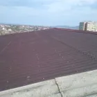 Afacere 26 imagine CASA SCARII IASI Sport şi Activităţi în aer liber în Iaşi