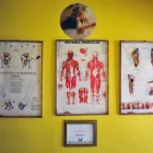 Afacere 3 imagine CENTRUL DE TERAPII COMPLEMENTARE PRANA Specialişti în remedii naturale în Cluj-Napoca CJ