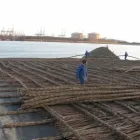 Afacere 1 imagine CIDU FOREST SRL în Călimăneşti VL