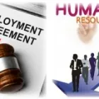 Afacere 3 imagine CITY SQUARE EMPLOYMENT AGENCY SRL Servicii profesionale în Bucureşti