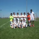 Afacere 1 imagine CLUBUL DE FOTBAL PRO TEAM Terenuri de fotbal în Bucureşti