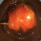 Afacere 1 imagine CMI DR BOSCORNEA TRAIAN CATALIN Sănătate şi Medicină în Ploieşti PH