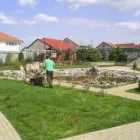 Afacere 6 imagine COMAN SPATII VERZI SRL Shopping în Timişoara TM
