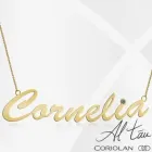 Afacere 5 imagine CORIOLAN Shopping în Iaşi