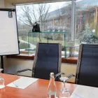 Afacere 8 imagine CROWNE PLAZA BUCHAREST Turism şi Agrement în Bucharest B