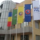 Afacere 1 imagine DECORATIV FLAG S.R.L Shopping în Bucureşti