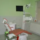 Afacere 7 imagine DENTA LUX Stomatologi şi cabinete stomatologice în Târgu Mureş MS