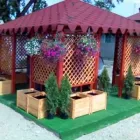 Afacere 12 imagine DT MULTUMIM ENERGIE SRL Turism şi Agrement în Bucureşti