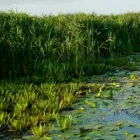 Afacere 1 imagine ECO SIMPLEX NOVA S.R.L. Servicii legale şi financiare în Bucharest B