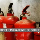 Afacere 2 imagine EHS CONSULTING Shopping în Iaşi