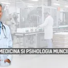 Afacere 4 imagine EHS CONSULTING Shopping în Iaşi