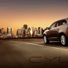 Afacere 1 imagine ELEVEN11 RENT A CAR Turism şi Agrement în Timişoara TM
