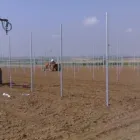 Afacere 12 imagine FARMAGRICOLA EXPERT SRL Utilaje şi echipamente agricole în Galaţi