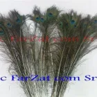 Afacere 14 imagine FARZAT COM SRL Shopping în Bucureşti