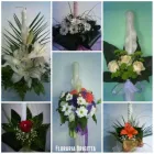 Afacere 2 imagine FLORARIA I.I.GHERASA NAGY BRIGITTA Shopping în Satu Mare