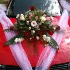 Afacere 7 imagine FLORARIA I.I.GHERASA NAGY BRIGITTA Shopping în Satu Mare