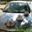 Afacere 1 imagine FLORARIA NOBLESSE Shopping în Braila BR