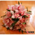 Afacere 17 imagine FLORARIE ONLINE - THE SECRET GARDEN Shopping în Bucureşti