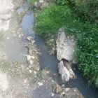 Afacere 1 imagine GARDA NATIONALA DE MEDIU CARAS-SEVERIN Shopping în Reşiţa CS