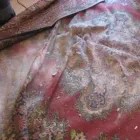 Afacere 2 imagine GENERAL CLEANING 2005 SRL Servicii profesionale în Piteşti AG