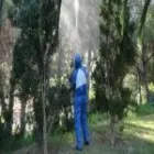 Afacere 9 imagine IGIENA ROMSERV DDD SRL Servicii profesionale în Bucureşti