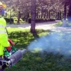 Afacere 17 imagine IGIENA ROMSERV DDD SRL Servicii profesionale în Bucureşti