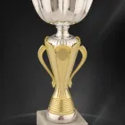 Afacere 2 imagine INFINITY TROPHY Shopping în Cluj-Napoca CJ