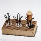 Afacere 3 imagine LABORATOR TEHNICA DENTARA HANGANU Stomatologi şi cabinete stomatologice în Ploieşti PH