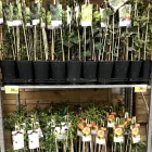 Afacere 2 imagine LEROY MERLIN BACAU Magazin de bricolaj în Bacău