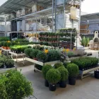 Afacere 7 imagine LEROY MERLIN BACAU Magazin de bricolaj în Bacău