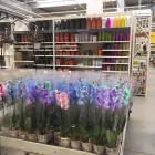 Afacere 8 imagine LEROY MERLIN BACAU Magazin de bricolaj în Bacău