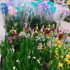 Afacere 1 imagine LEROY MERLIN CLUJ TURZII Magazin de bricolaj în Cluj-Napoca CJ