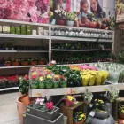 Afacere 2 imagine LEROY MERLIN TIMISOARA Magazin de bricolaj în Timişoara TM