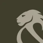 Afacere 2 imagine LIONS UNITED Traducători în Timişoara TM