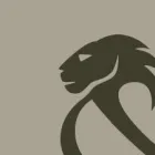 Afacere 3 imagine LIONS UNITED Traducători în Timişoara TM