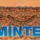 Afacere 1 imagine MAGAZIN AGRICOL SC SAVGI SRL Magazin cu hrană şi produse pentru animale în Bacău
